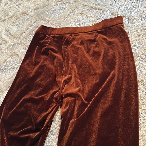 Zara pull on stretchy velvet trousers. Brown, rust color woman’s size large NEW - Picture 8 of 9
